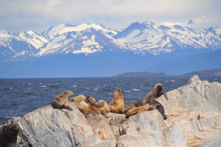 Navigation i Beagle Channel med minitrekking USHUAIA