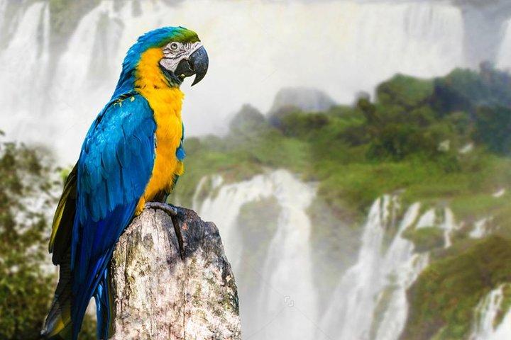 2日間のアルゼンチンとブラジルのイグアスの滝