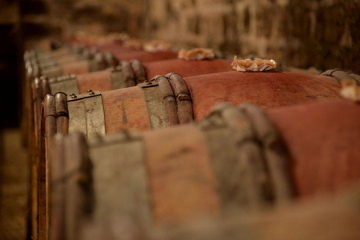 Privétour van een hele dag, 6 Premiers & Grands Crus, Het beste van Bourgondië