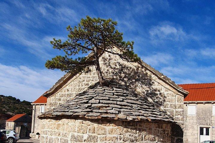 Privat dagstur till ön Brač med autentisk lunch