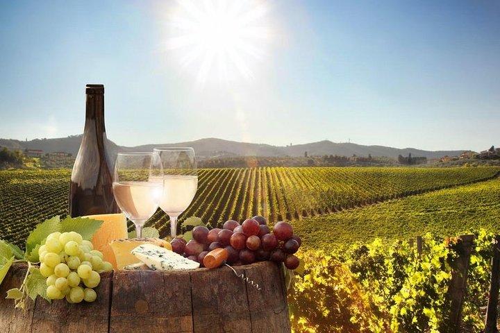 Skræddersyet Stellenbosch & Franschhoek Winelands Heldagstur.