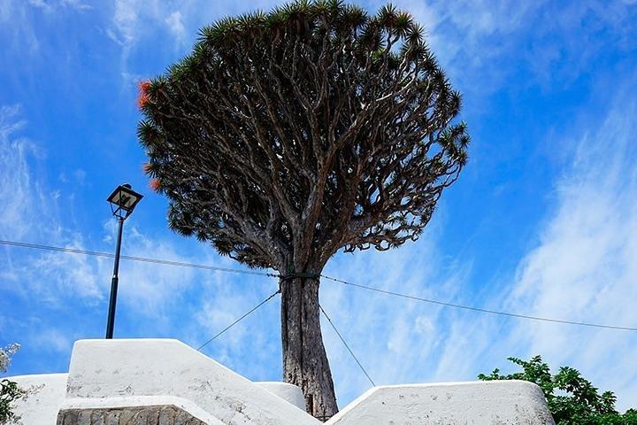 Tenerife Tour Completo dell'Isola