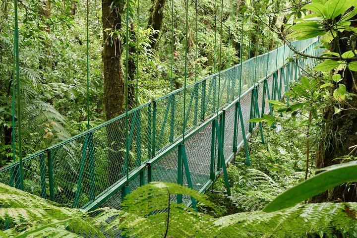 Selvatura Park Hanging Bridge Tour i Monteverde