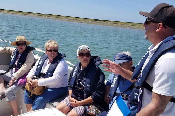 Faro - Ria Formosa-tur med besøg på 2 øer (Deserta, Farol) 3,5 timer