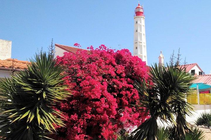 Faro - Ria Formosa-tur med besøg på 2 øer (Deserta, Farol) 3,5 timer