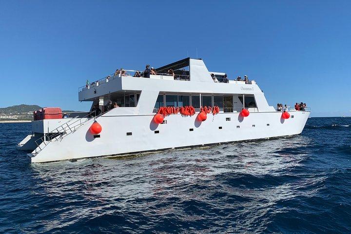 Hvalsafari på Cabos San Lucas Cruise og landtransport