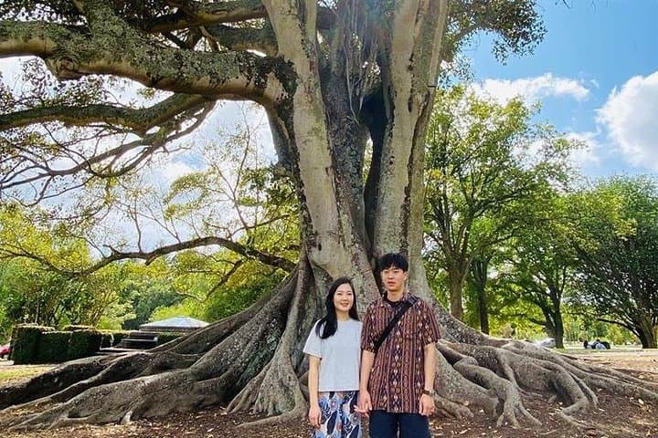 Auckland Highlights 4 Hrs city Tour