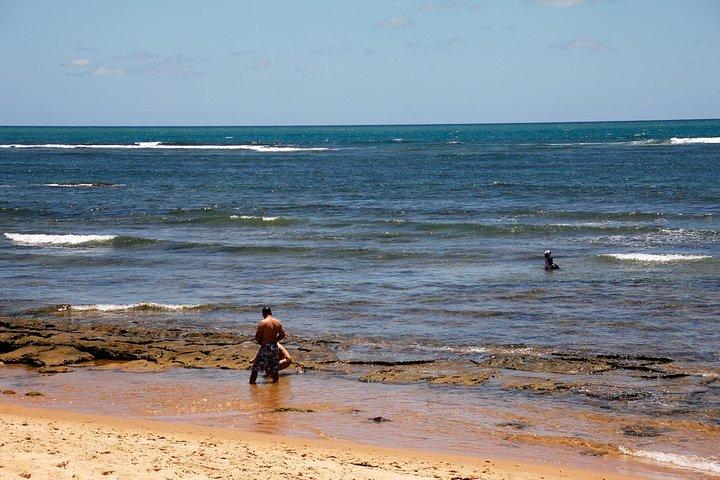 Praia do Forte with Guarajuba Beach - Day Trip from Salvador