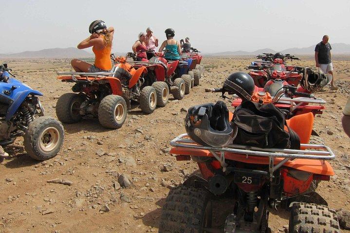 Balade Quad et chameaux