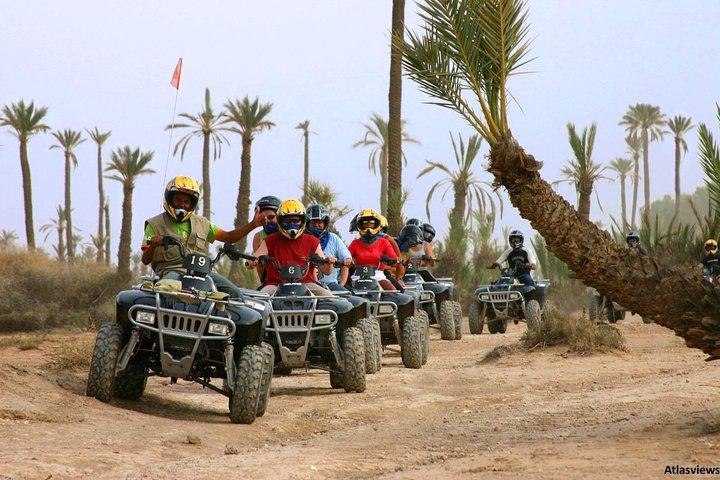 Balade Quad et chameaux