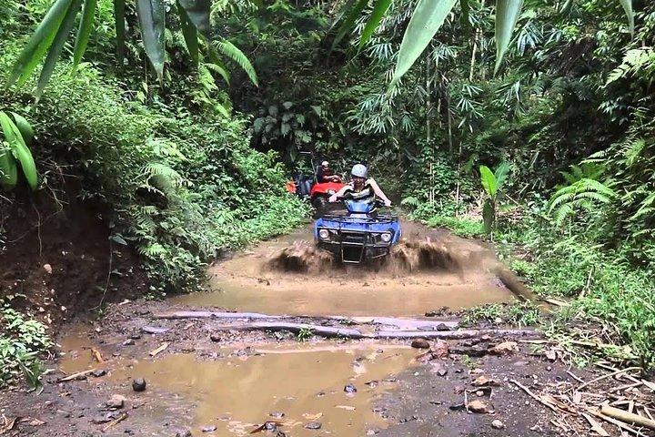 Bali Tunnel e Waterfall Quad Bike "KUBER ADVENTURE"