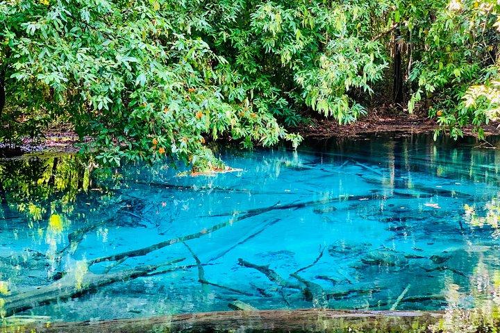 Krabi Jungle Tour with Emerald Pool, Hot Springs & Tiger Cave