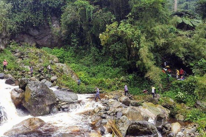 8-daagse DR Congo Rwenzori-gebergte wandelen - Touching the Glacier (4350m alt)