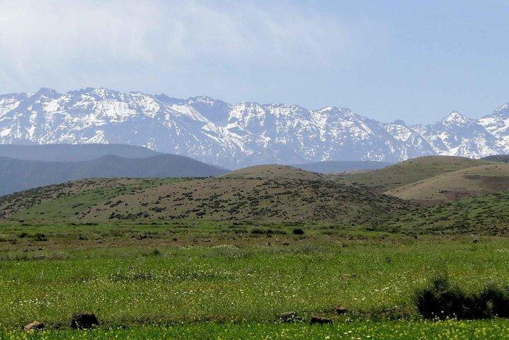 Day trip to Oukaimeden and the Atlas Mountains