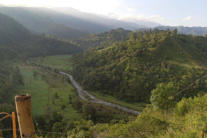Tour del caffè (Fattoria Las Acacias)