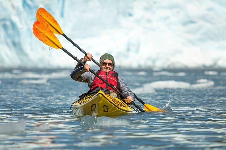 Cruzeiro de vida selvagem pelos fiordes de Kenai (Grand Day) e combinação de caiaque na geleira