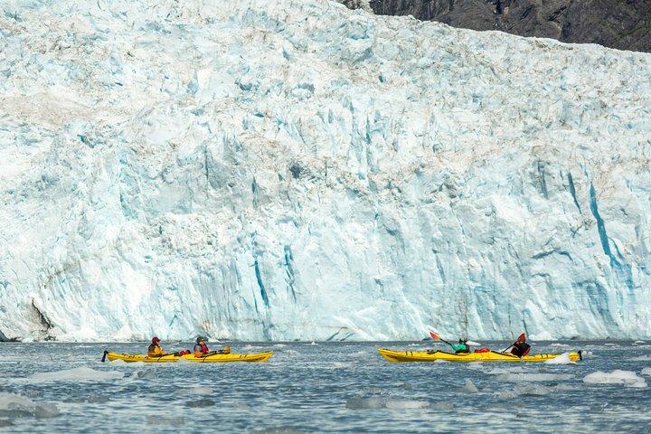 Cruzeiro de vida selvagem pelos fiordes de Kenai (Grand Day) e combinação de caiaque na geleira
