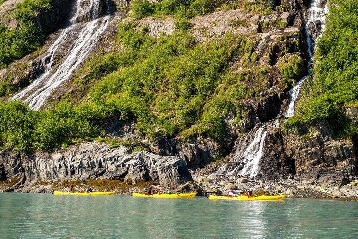 Cruzeiro de vida selvagem pelos fiordes de Kenai (Grand Day) e combinação de caiaque na geleira
