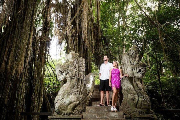 Tour della città di Ubud II: Monkey Forest, Palace, Art Market e Rice Terrace
