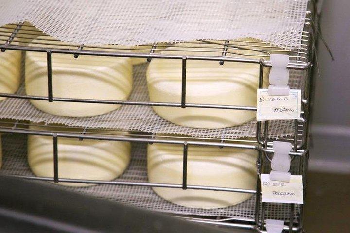 Pecorino Cheese Factory & Chianti Wine Tour in Toscane - De perfecte combinatie