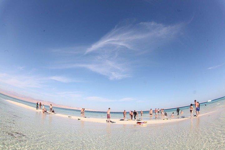 Sharm: excursion d'une journée complète avec tuba à Ras Mohamed et White Island avec déjeuner