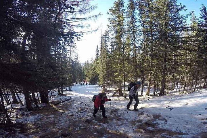 Excursion en montagne à Bogd Khan - Excursion privée d'une journée