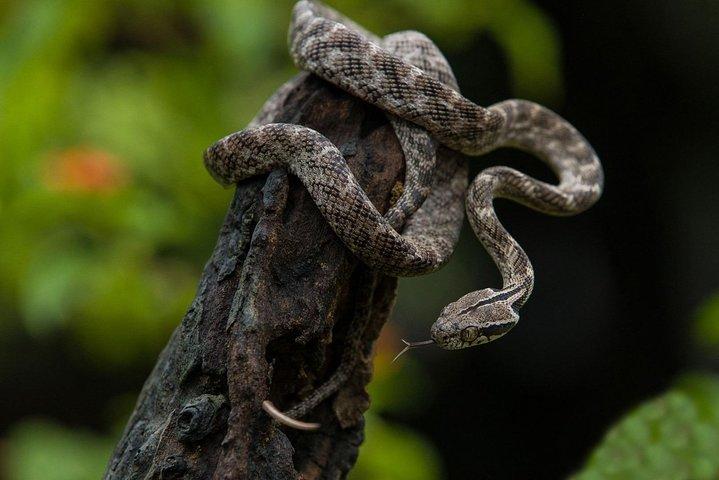ニゴンボからのオールインクルーシブのウダワラワ国立公園デイツアー