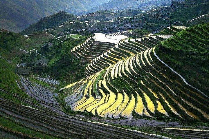 Privétour naar de rijstterrassen van Guilin Longji en het minderheidsdorp Yao