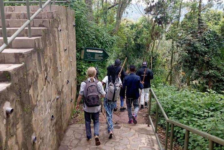 1 dages Canopy Walk Adventure i Nyungwe Forest National Park