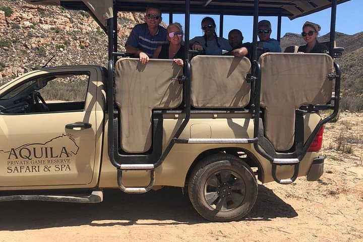 Big 5 African Safari near Cape Town