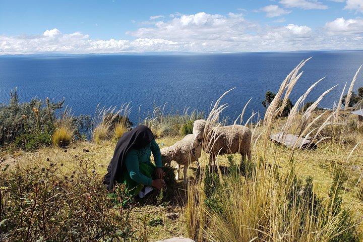 3-Tages-Tour von Cusco nach Puno & Titicacasee in kleiner Gruppe