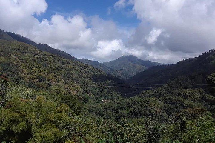 Private Blue Mountain Tour von Ocho Rios