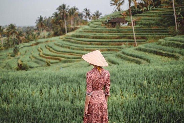 Intera giornata: Bedugul Temple - UNESCO Rice Terrace - Tanah Lot Temple