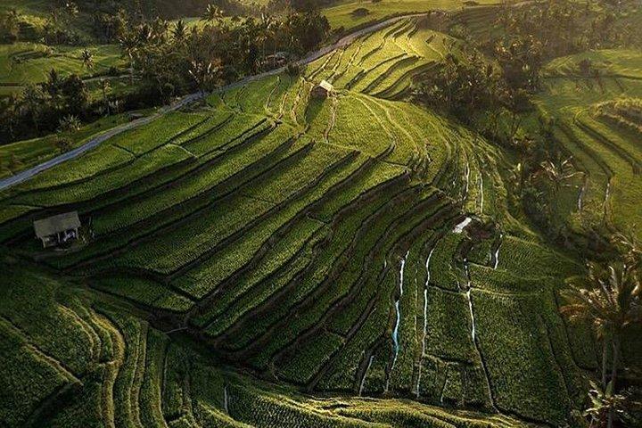 Intera giornata: Bedugul Temple - UNESCO Rice Terrace - Tanah Lot Temple