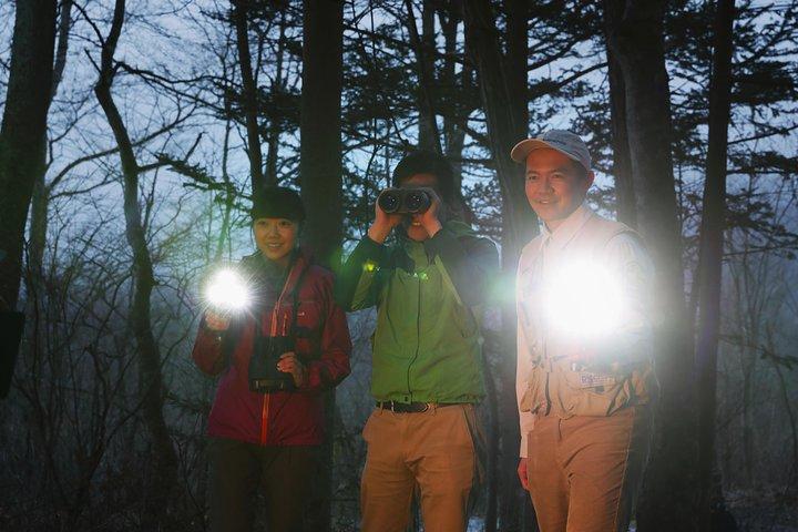 Visite nocturne de la faune à Nagano, Japon