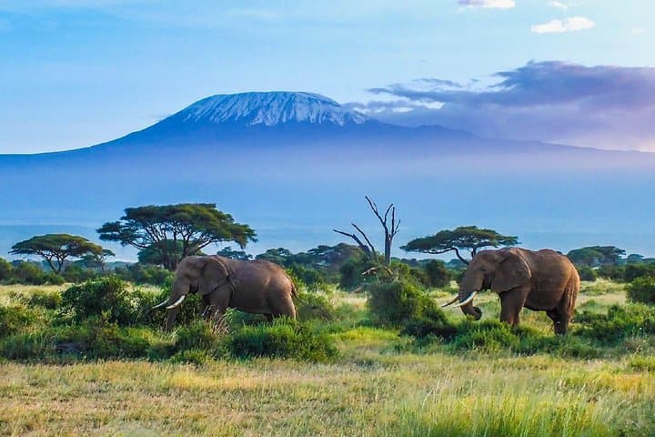 3-Day Amboseli Safari from Nairobi with Kilimanjaro Views