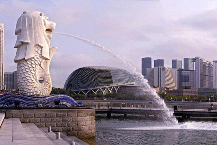 6 oder 8 Stunden privater Landausflug von Singapur zu Fuß