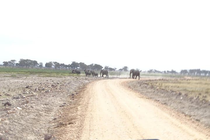 3 Days Safari start in Nairobi - Amboseli - Tsavo West - End in Mombasa