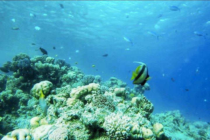 Dahab : Blue Hole Snorkeling, Quad, Colored Canyon