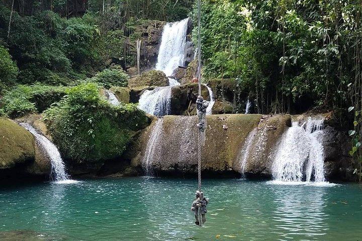 Tour privado de Ys Falls, Black River Safari y Appleton Estate