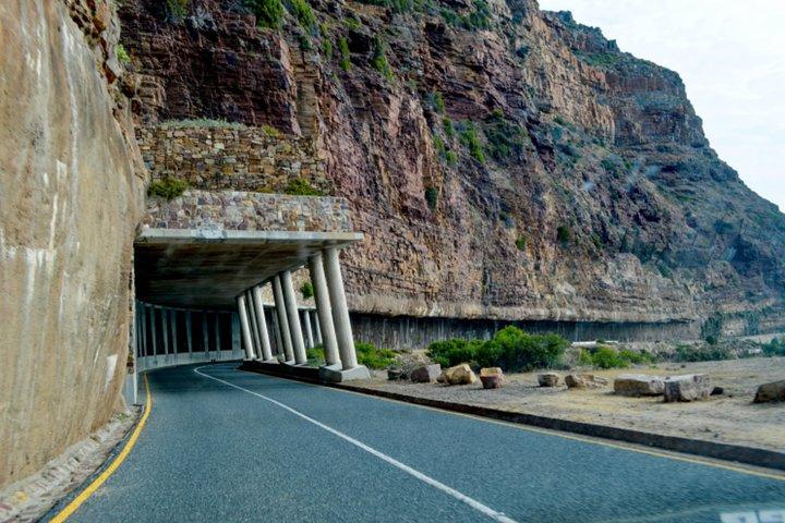 プライベートケープオブグッドホープ観光とアフリカペンギンツアー