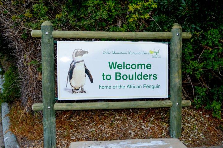 プライベートケープオブグッドホープ観光とアフリカペンギンツアー