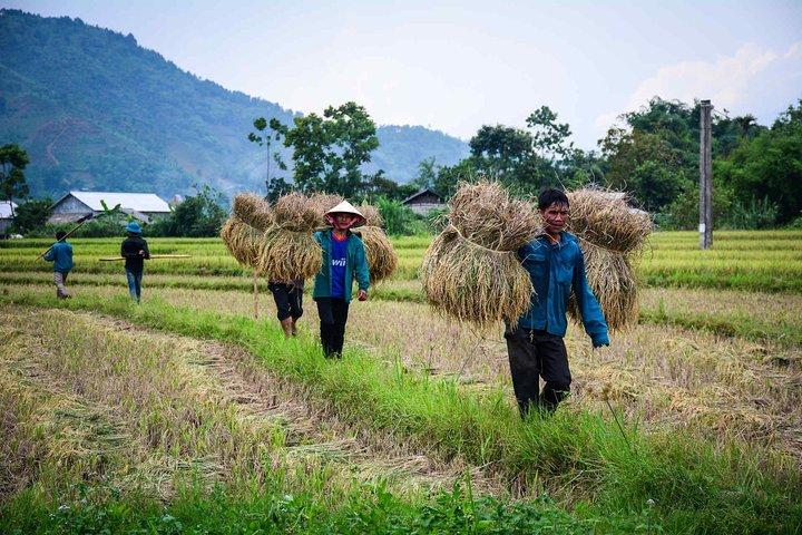 14 Tage Vietnam Radtour