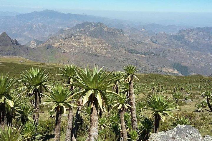 Tour 11 monolithic rock churches & museum in Lalibela & cave church with mummies