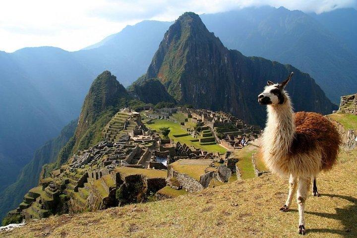 Machu Picchu, sanctuaire historique en train Vistadome - FD
