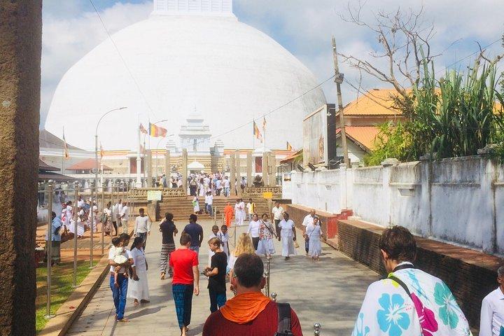 13 dage Udforsk Sri Lanka