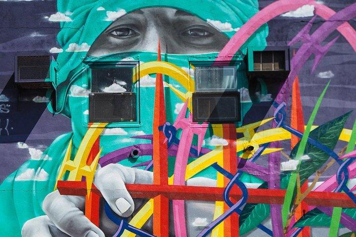Bushwick Street Art Tour and Williamsburg Lifestyle Tour