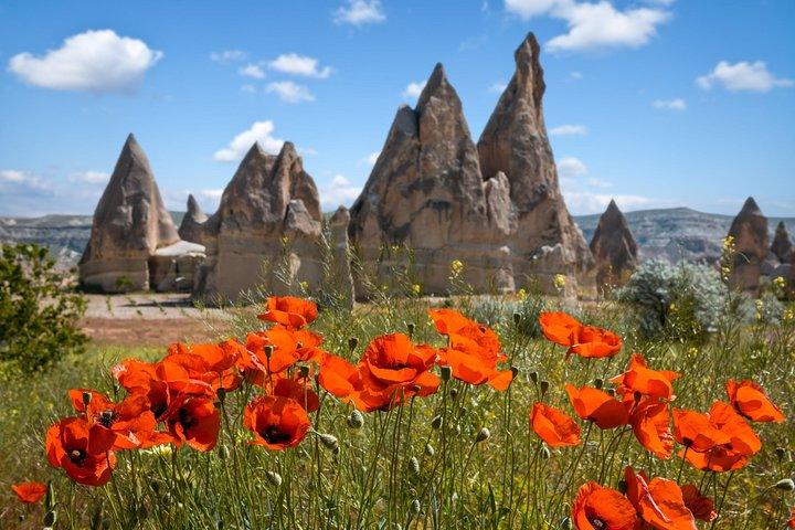 Visite privée de la Cappadoce avec cheminées et musée en plein air de Goreme