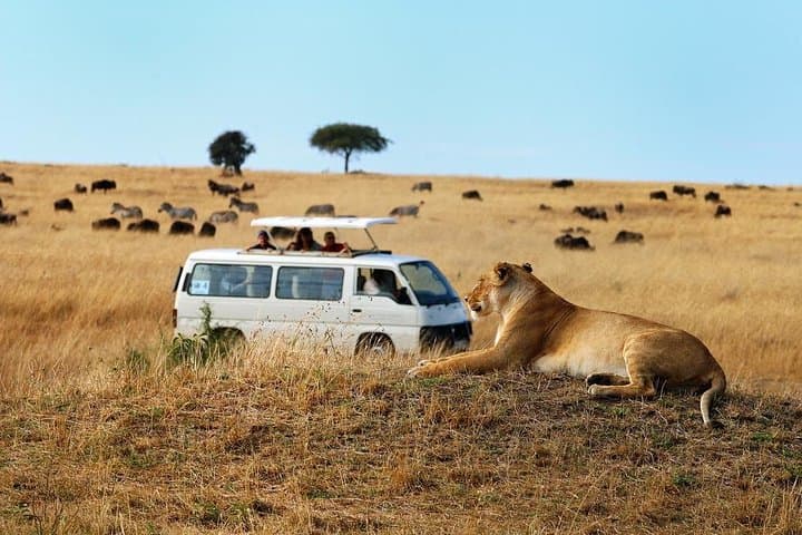 Full Day Tour Nairobi National Park, Elephant Orphanage & Giraffe Center