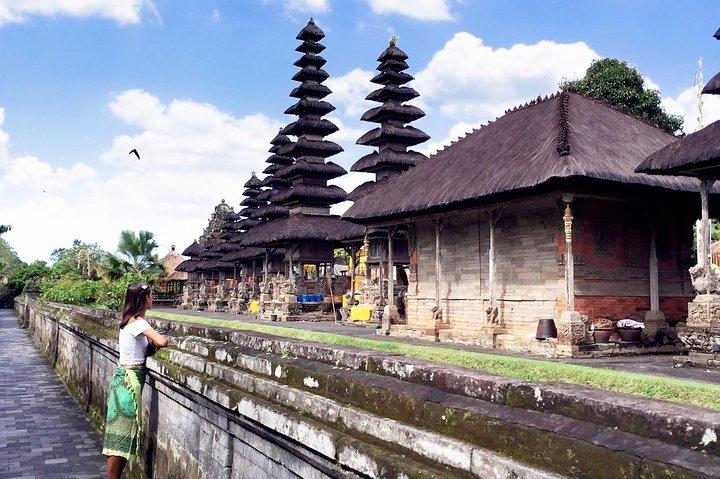 Il meglio di Bali Water Temple e UNISCO Rice Terrace Trek